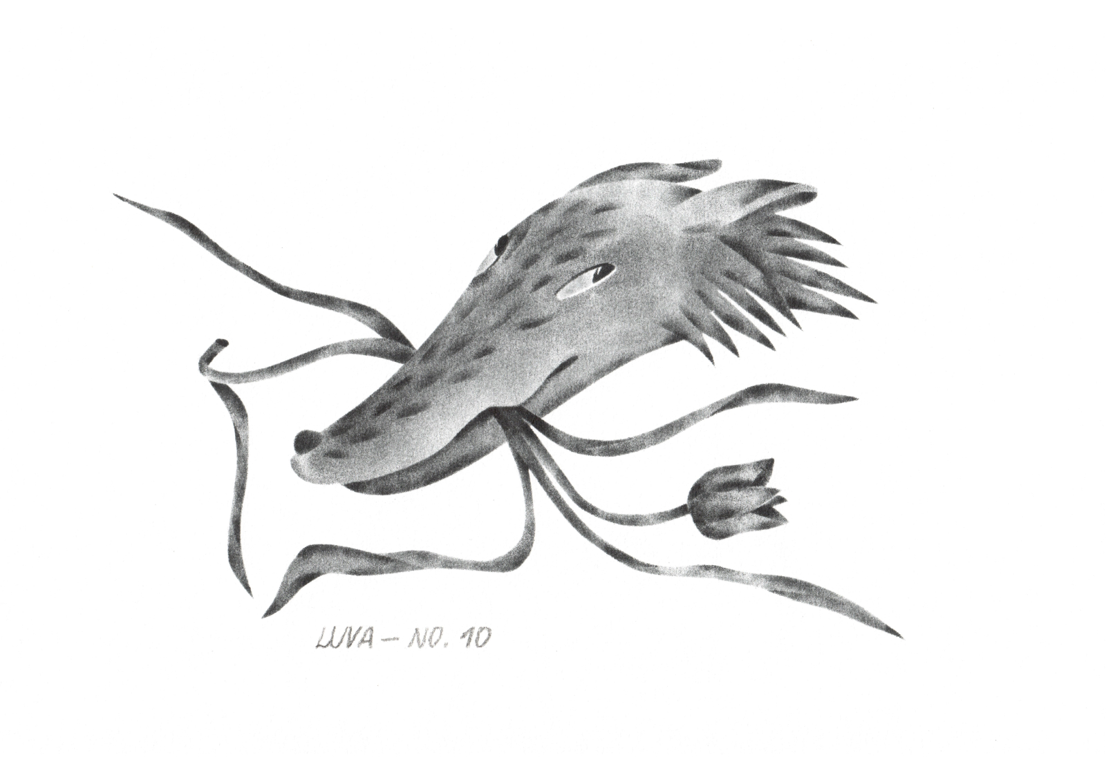 Wild Archive No. 10