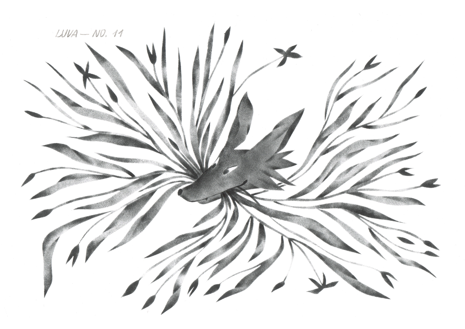 Wild Archive No. 11