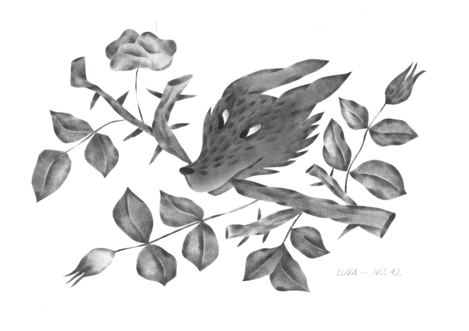 Wild Archive No. 12
