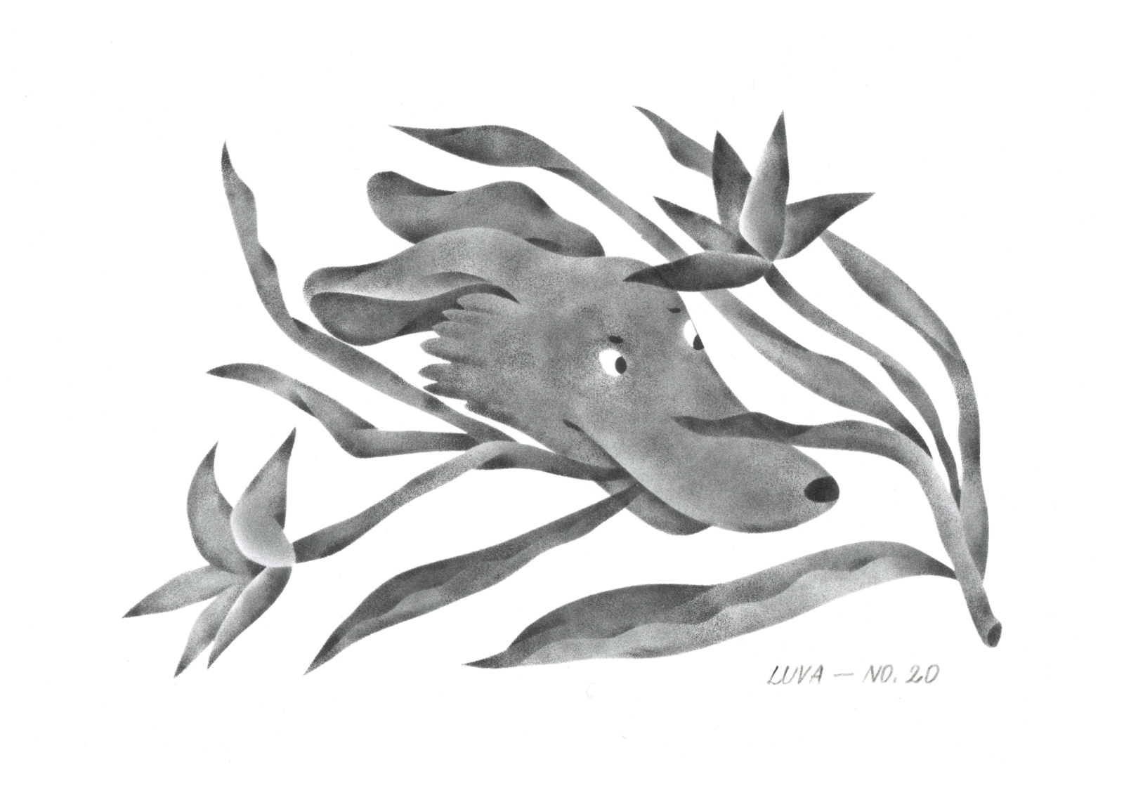Wild Archive No. 20