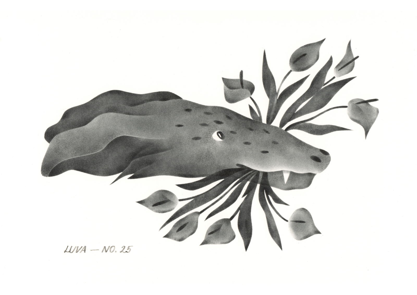 Wild Archive No. 25